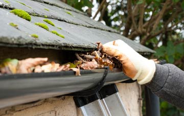 gutter cleaning Halesgate, Lincolnshire